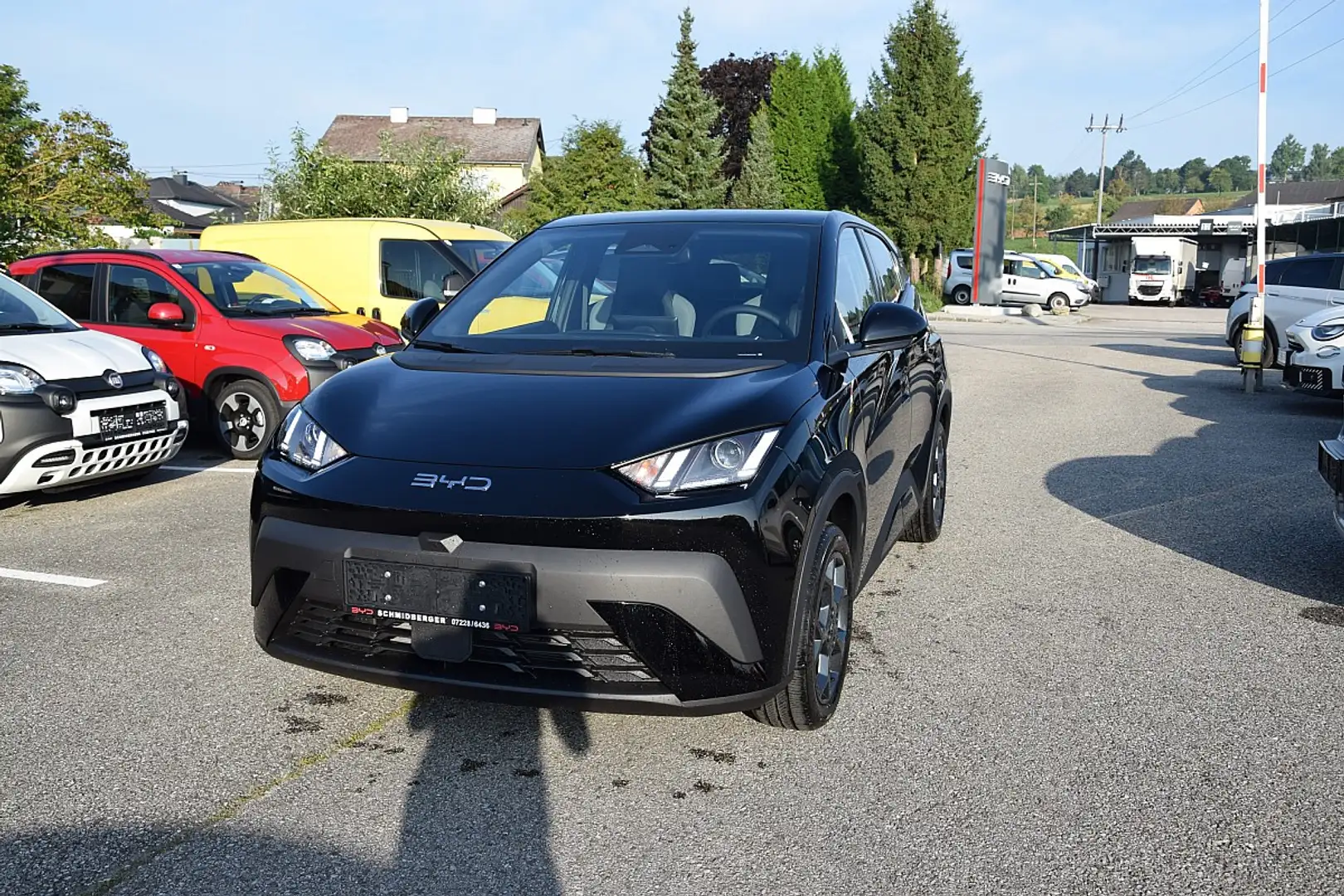 BYD Dolphin Surf SURF Boost 43,2 kWh Schwarz - 2