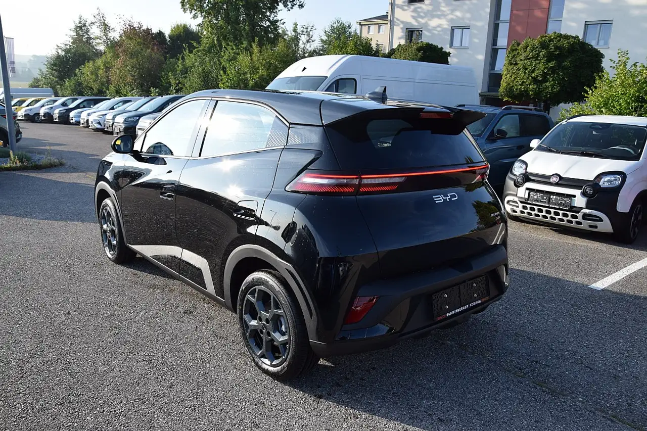 BYD DOLPHIN SURF
