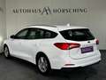 Ford Focus Traveller 1,5 EcoBlue Trend Edition Business Weiß - thumbnail 4