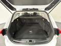 Ford Focus Traveller 1,5 EcoBlue Trend Edition Business Weiß - thumbnail 21