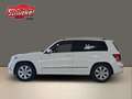 Mercedes-Benz GLK 350 CDI BlueEfficiency 4Matic AHK Tempomat Standheiz. Weiß - thumbnail 4