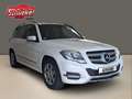 Mercedes-Benz GLK 350 CDI BlueEfficiency 4Matic AHK Tempomat Standheiz. Weiß - thumbnail 10