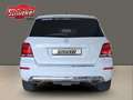 Mercedes-Benz GLK 350 CDI BlueEfficiency 4Matic AHK Tempomat Standheiz. Weiß - thumbnail 6