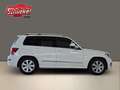 Mercedes-Benz GLK 350 CDI BlueEfficiency 4Matic AHK Tempomat Standheiz. Weiß - thumbnail 9