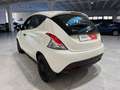 Lancia Ypsilon Ypsilon 1.2 Elefantino Blu s 69 CV Bianco - thumbnail 4
