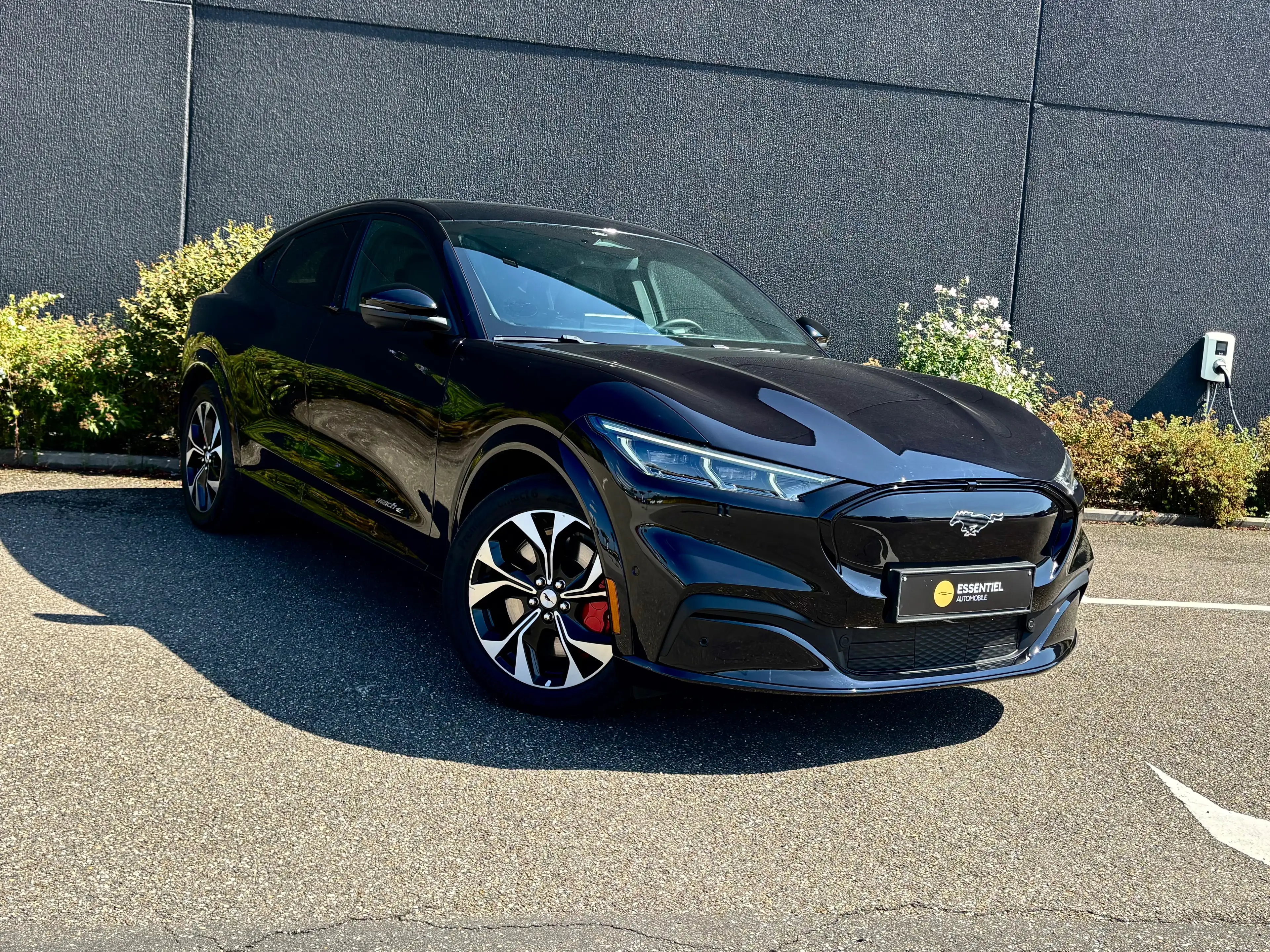 Ford Mustang Mach-E 99 kWh RWD Premium Extended Range SOH 96% / Bang & Olufsen / Led / Caméra / Cuir / etc — photo 3