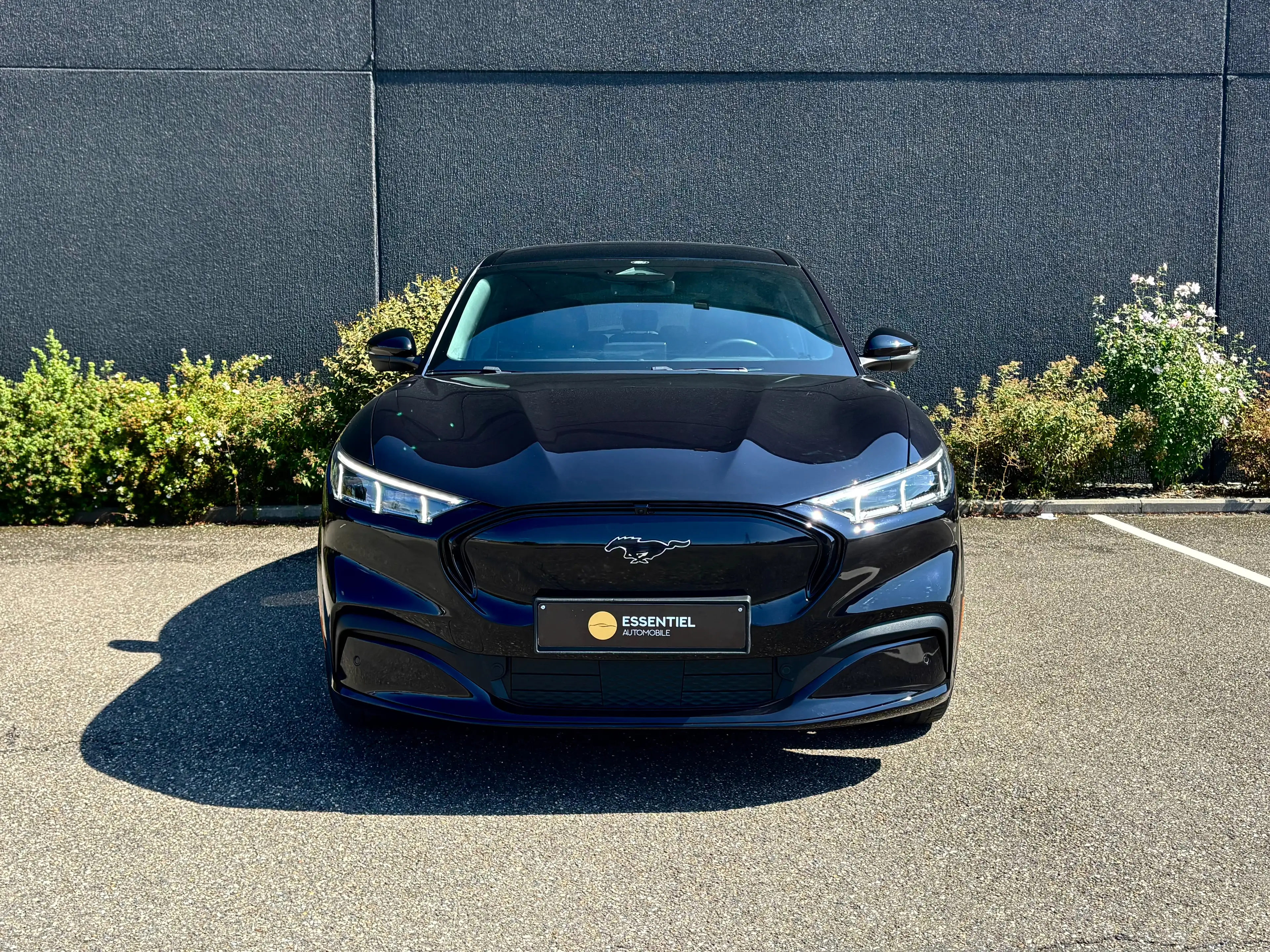 Ford Mustang Mach-E 99 kWh RWD Premium Extended Range SOH 96% / Bang & Olufsen / Led / Caméra / Cuir / etc — photo 2
