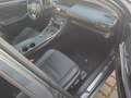 Lexus IS 300 300h Luxury Line - thumbnail 8