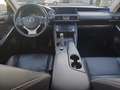 Lexus IS 300 300h Luxury Line - thumbnail 6