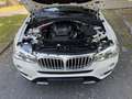 BMW X3 xDrive 20 d X Line Sportpaket/EU6/Panorama Weiß - thumbnail 18
