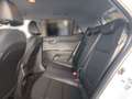 Kia Stonic Platinum 1.0T 100 48V DCT Edition Weiß - thumbnail 13