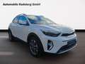 Kia Stonic Platinum 1.0T 100 48V DCT Edition Weiß - thumbnail 3