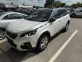 Peugeot 5008 Allure  Händlerfahrzeug Weiß - thumbnail 1