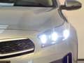 Kia XCeed 1.6 GDI PHEV EDRIVE 141 5P Gris - thumbnail 12