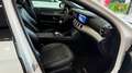 Mercedes-Benz E 220 d  SW d Premium Plus TETTO APRIBILE - thumbnail 13