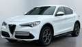 Alfa Romeo Stelvio 2.0 Turbo 16V AT8-Q4 Lusso - thumbnail 1