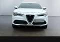 Alfa Romeo Stelvio 2.0 Turbo 16V AT8-Q4 Lusso - thumbnail 8