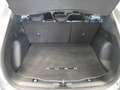 Ford Kuga ST-Line 2.5 Duratec PHEV 165kW Auto Plateado - thumbnail 19