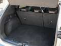 Ford Kuga ST-Line X 2.5 PHEV 225pk Automaat 20''LM | WINTER Grijs - thumbnail 14