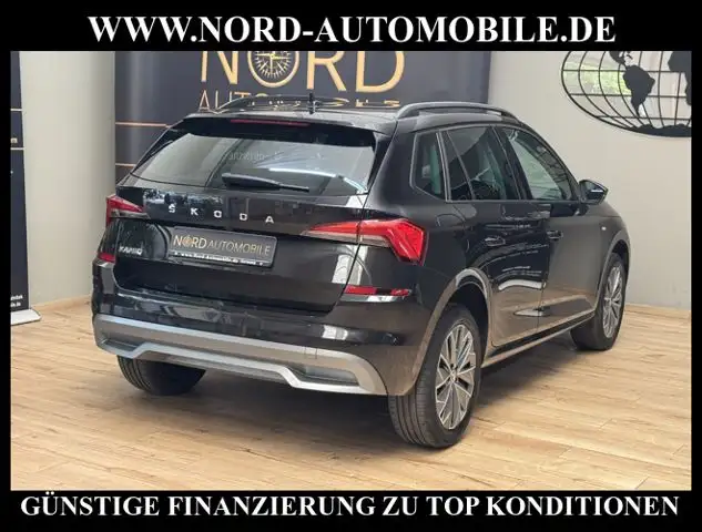 Skoda Kamiq view 12