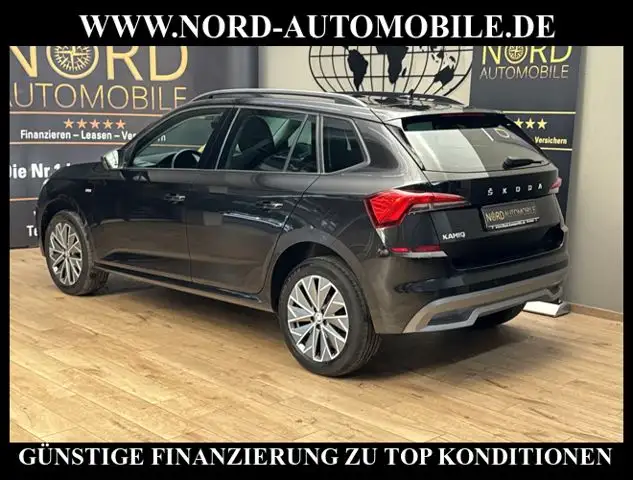 Skoda Kamiq view 10