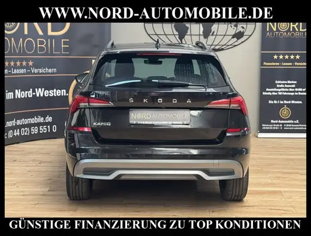 Skoda Kamiq view 11