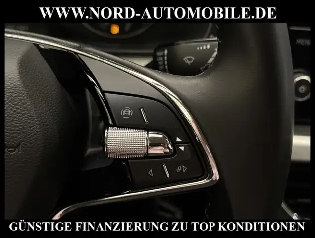 Skoda Kamiq view 30