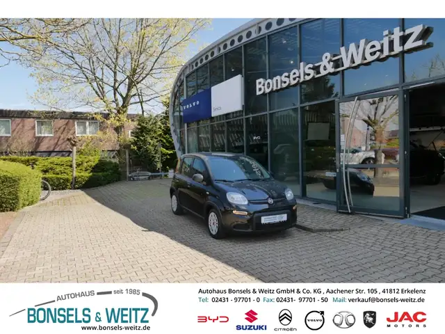 Fiat Panda Base 1.0 MILD HYBRID BASE 5-TÜRIG DAB Klima Funkfe