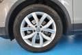 Volkswagen Tiguan Tiguan II 2.0 tdi Executive 150cv dsg Plateado - thumbnail 6