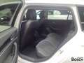 Volkswagen Passat Variant 2.0 TDI DSG Business AHK Navi ACC Weiß - thumbnail 5
