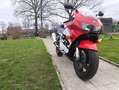 Honda CBR 900 rr fireblade Blanco - thumbnail 2