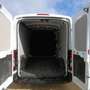 Ford Transit FURGÓN 310 L2H2 2.0 ECOBLUE 130 CV Blanco - thumbnail 5