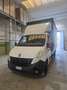 Renault Master cassonato telonato + sponda idraulica - thumbnail 1