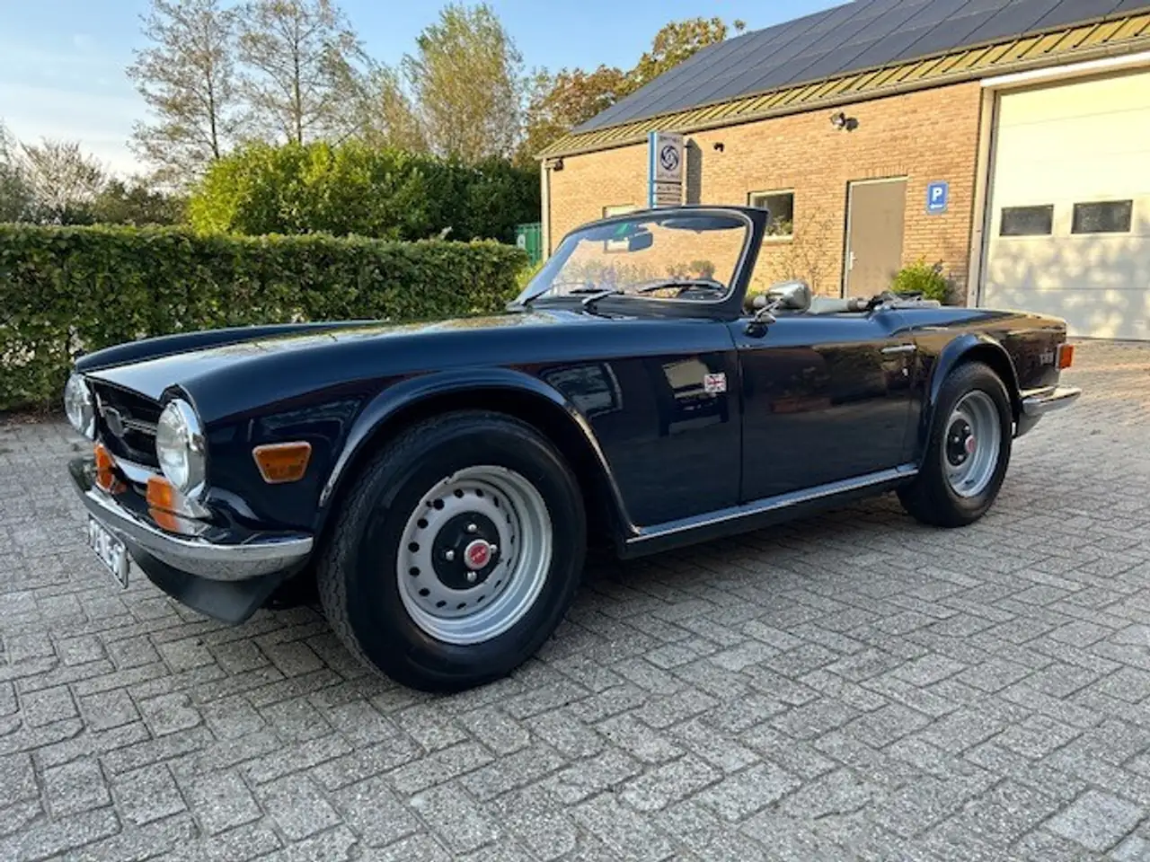 Triumph TR6 PI, 150 BHP, foto 2