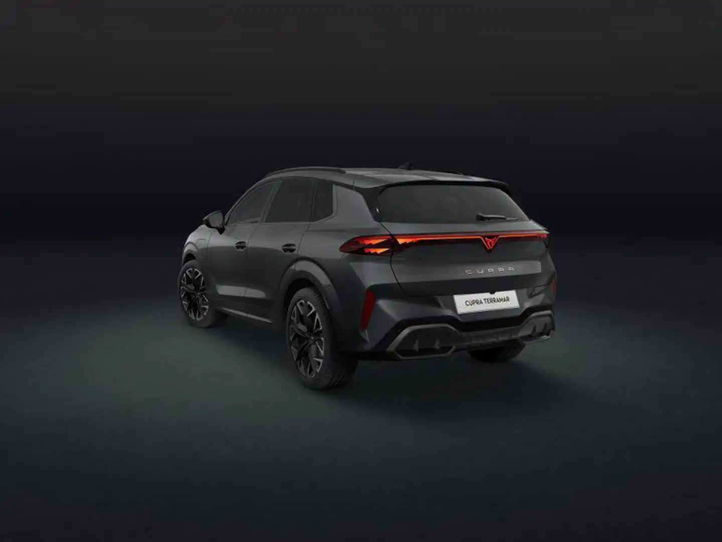 CUPRA Terramar America`s CUP Limited Edition e-HYBRID 1.5 200 ... Grau - 2