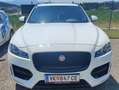 Jaguar F-Pace F-Pace 20d AWD R-Sport Aut. R-Sport Weiß - thumbnail 26