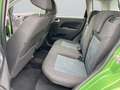 Ford Fiesta Fiesta Fifty Cross Trend 1,3 8V Grün - thumbnail 11