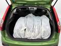 Ford Fiesta Fiesta Fifty Cross Trend 1,3 8V Grün - thumbnail 12