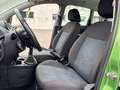 Ford Fiesta Fiesta Fifty Cross Trend 1,3 8V Grün - thumbnail 9