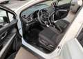 Suzuki SX4 S-Cross S-Cross 1.0 Boosterjet Easy + Park Sens e CL 16'' Bianco - thumbnail 9