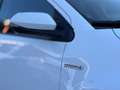 Toyota Yaris Toyota Yaris 1.5 Hybrid 5 porte Active Plus Bianco - thumbnail 7