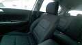 Kia Sportage Sportage 1.6 crdi mhev Busines Class 2wd 136cv dct Bianco - thumbnail 10