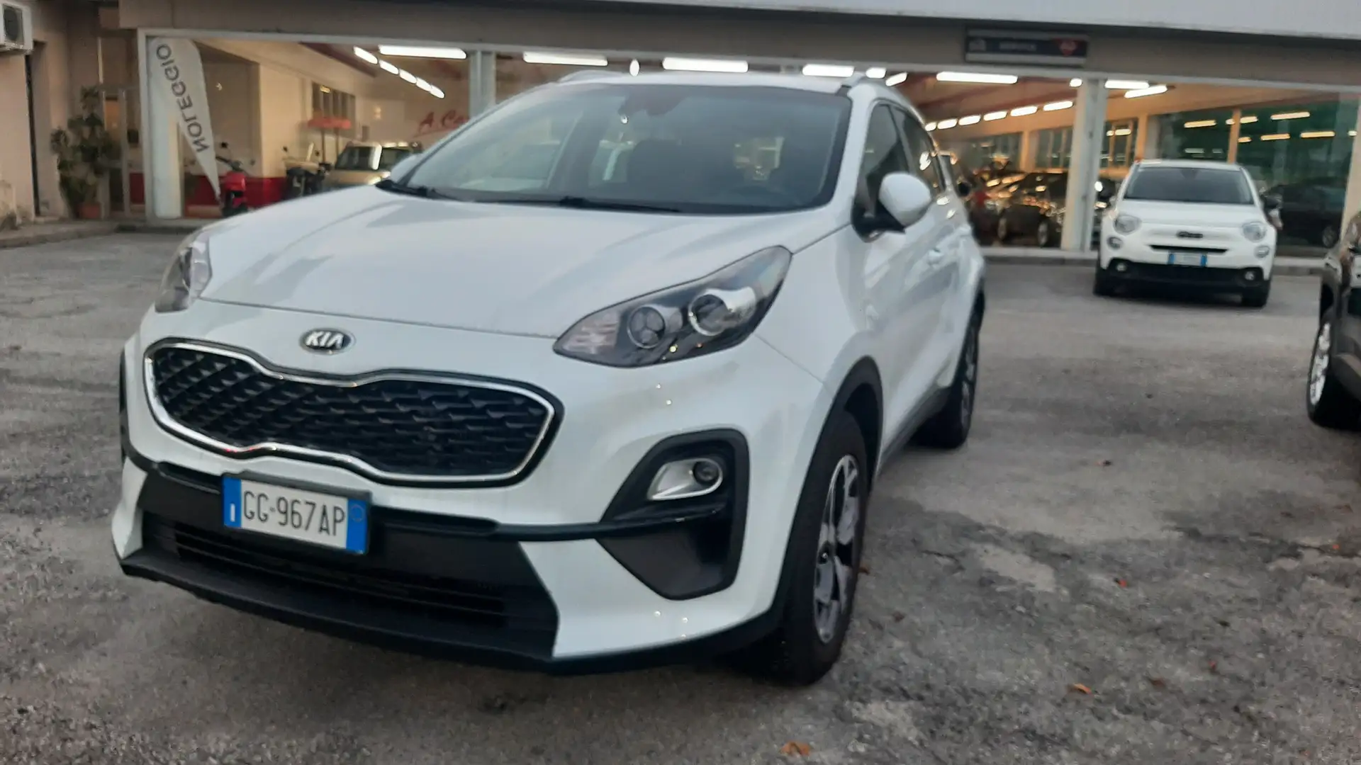 Kia Sportage Sportage 1.6 crdi mhev Busines Class 2wd 136cv dct Blanc - 2