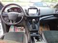 Ford Kuga 1,5 EcoBoost 4x4 134kW ST-Line Automat, RFK Weiß - thumbnail 13