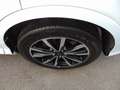Ford Kuga 1,5 EcoBoost 4x4 134kW ST-Line Automat, RFK Weiß - thumbnail 11