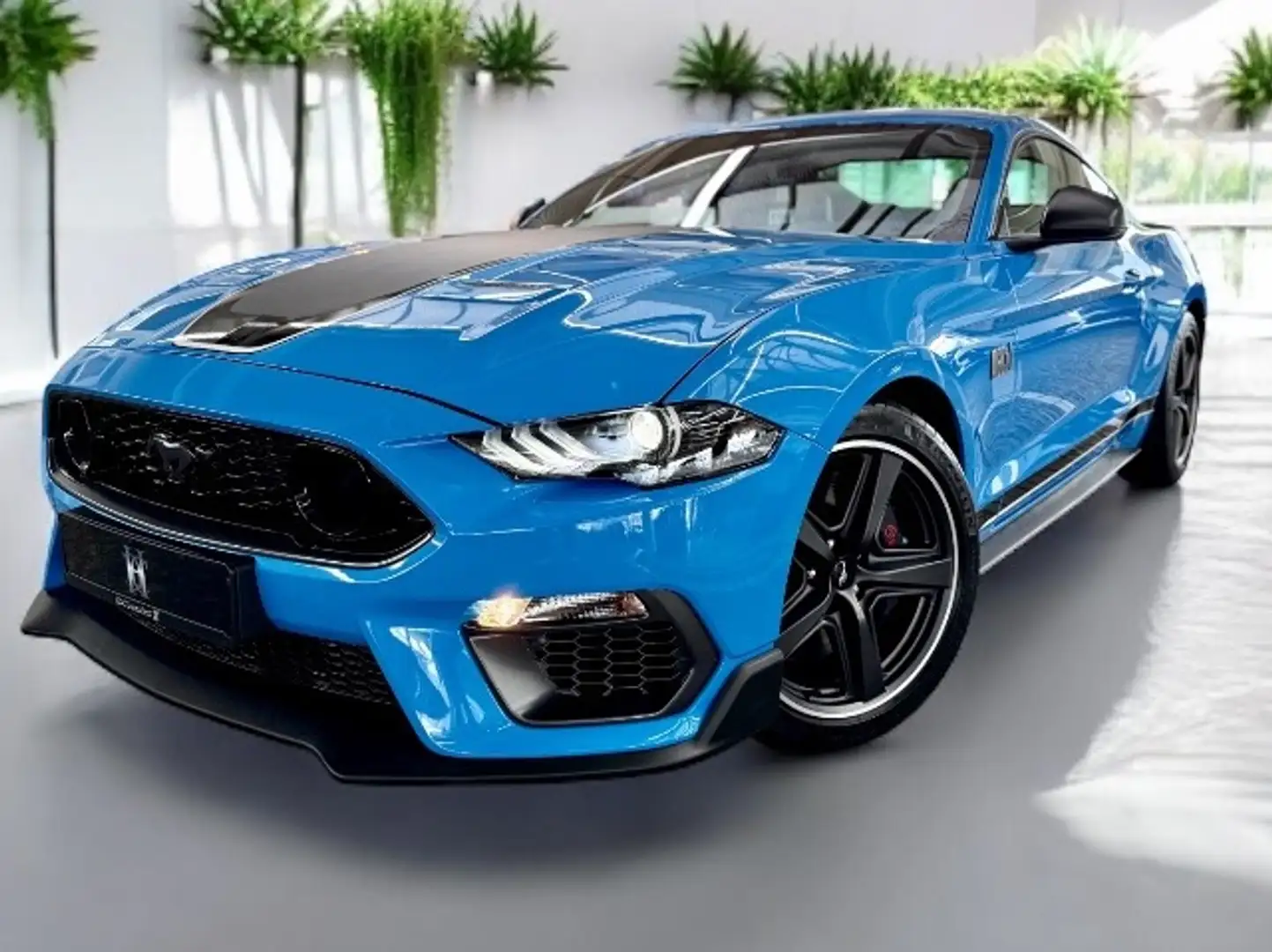 Ford Mustang Mach1 Tremec 6 Gang MagneRide| Neuwertig Blau - 1