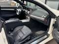 Mercedes-Benz E 350 CDI BlueTEC Coupe AMG LINE Aut./PANO/ACC/AUTOPI... Weiß - thumbnail 37