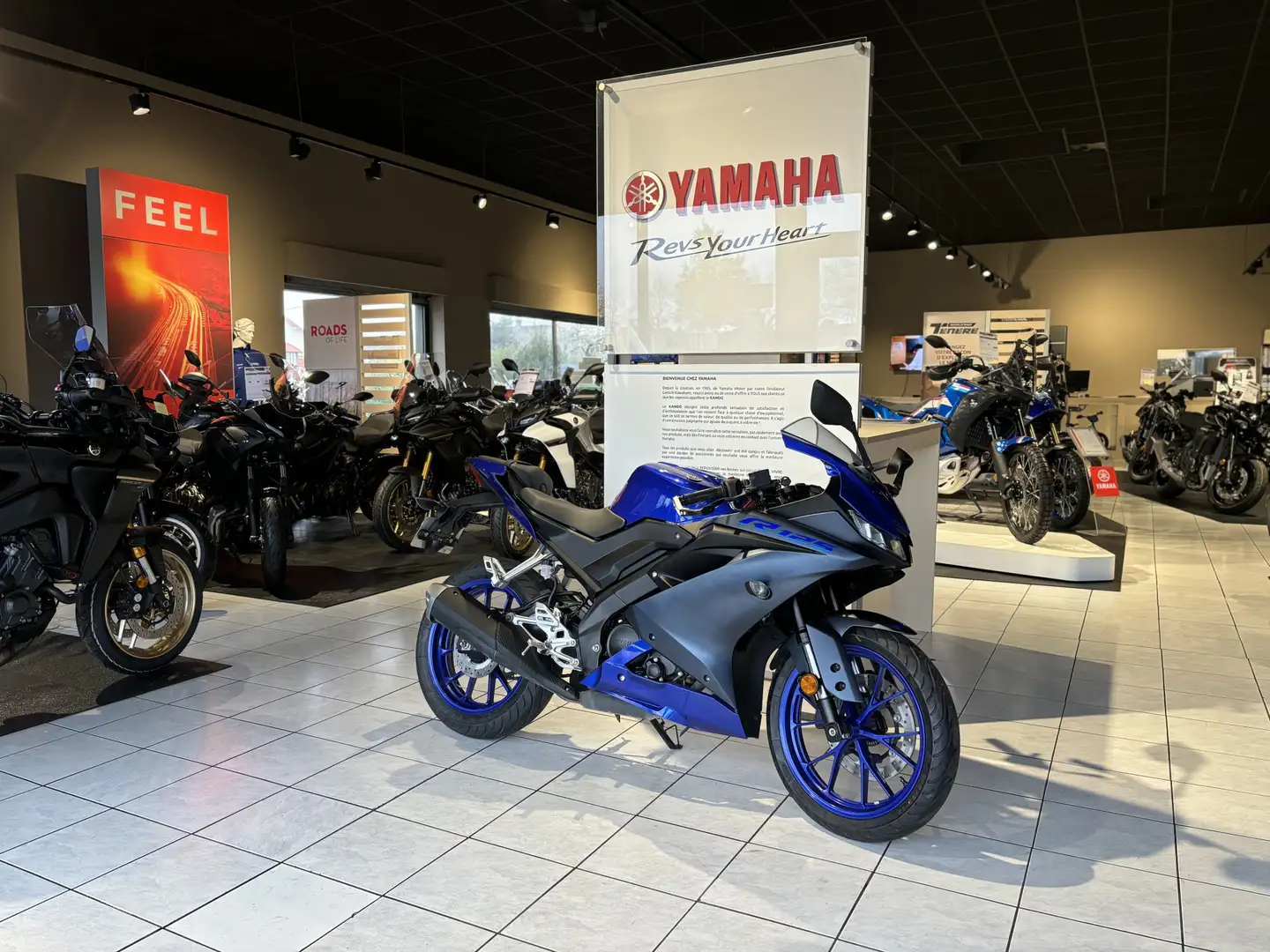 Yamaha YZF-R125 Bleu - 2