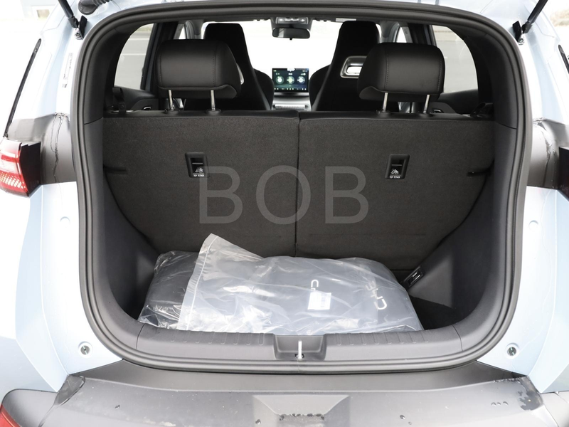 BYD Dolphin SURF Comfort NAVI SHZ PDC KLIMA LM — photo 14