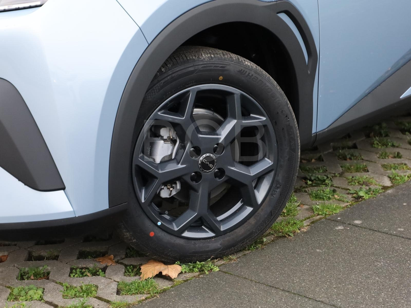BYD Dolphin SURF Comfort NAVI SHZ PDC KLIMA LM — photo 12